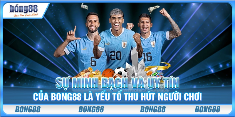 Sự minh bạch và uy tín của Bong 88 là yếu tố thu hút người chơi