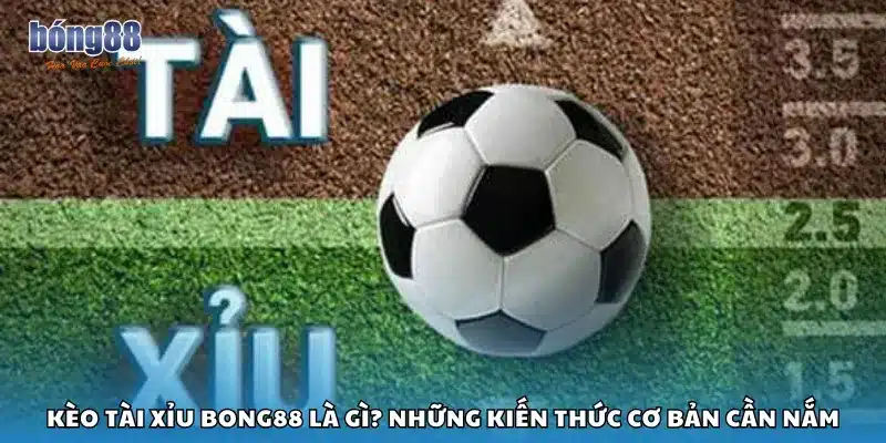 Kèo Tài Xỉu Bong88 là gì? Những kiến thức cơ bản cần nắm