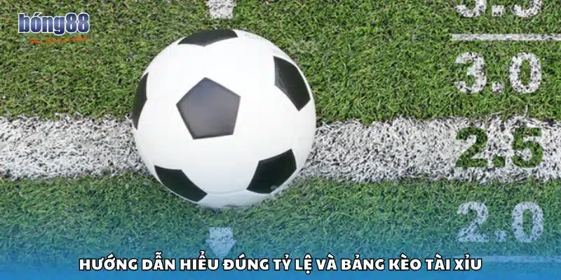 Hướng dẫn hiểu đúng tỷ lệ và bảng kèo Tài Xỉu