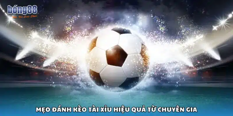 Mẹo đánh kèo Tài Xỉu hiệu quả từ chuyên gia