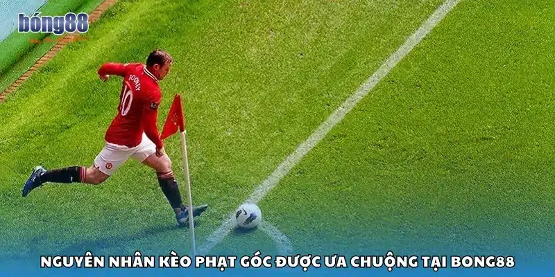 Nguyên nhân kèo phạt góc được ưa chuộng tại Bong88