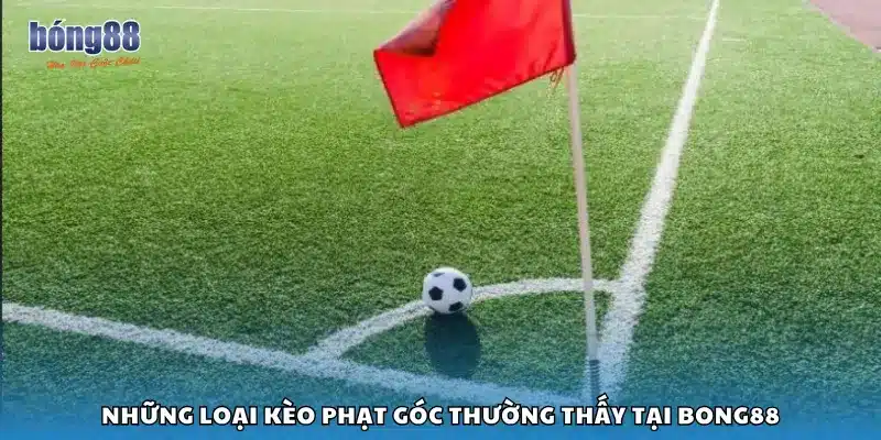 Những loại kèo phạt góc thường thấy tại Bong88