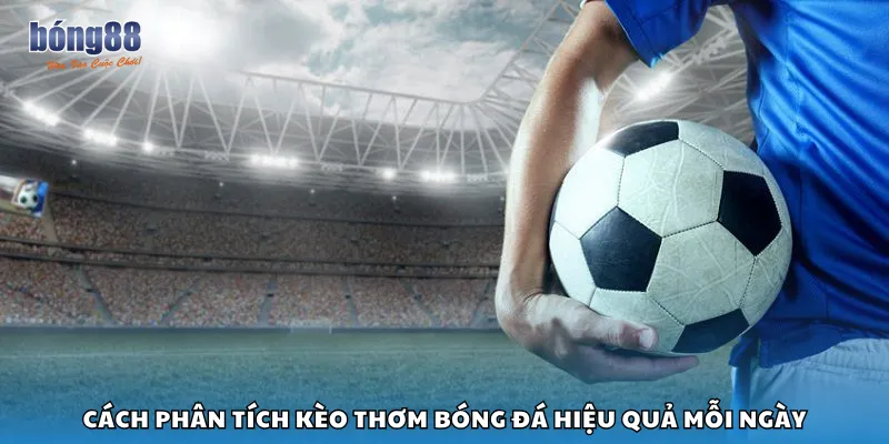Cách phân tích kèo thơm bóng đá hiệu quả mỗi ngày