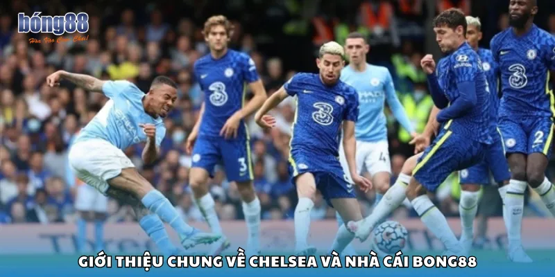 Giới thiệu chung về Chelsea và nhà cái Bong88