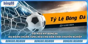 Soi kèo VIP bong88 – Dự đoán chuẩn từng kèo cho dân chơi chuyên nghiệp