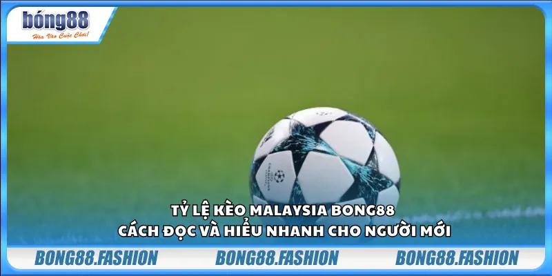 Tỷ lệ kèo Malaysia bong88 – Cách đọc và hiểu nhanh cho người mới