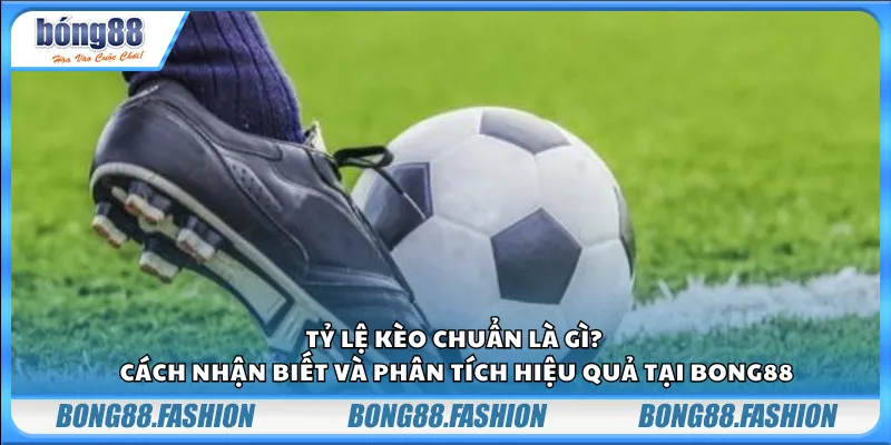 Tỷ lệ kèo chuẩn là gì? Cách nhận biết và phân tích hiệu quả tại Bong88