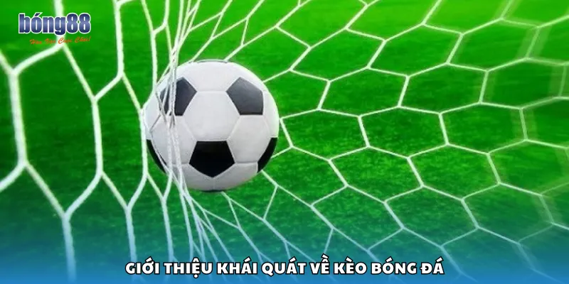 Giới thiệu khái quát về kèo bóng đá