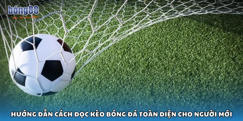 Hướng dẫn cách đọc kèo bóng đá toàn diện cho người mới