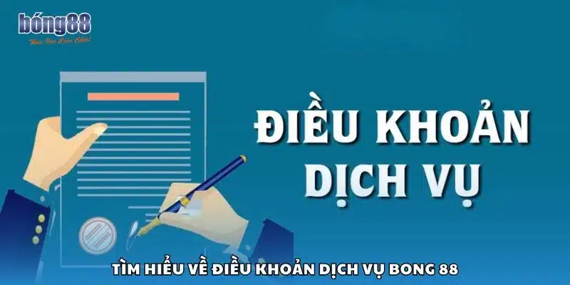 Tìm hiểu về điều khoản dịch vụ Bong 88