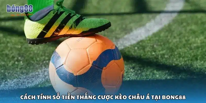 Cách tính số tiền thắng cược kèo Châu Á tại Bong88