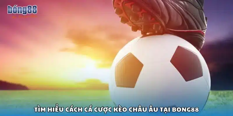 Tìm hiểu cách cá cược kèo Châu Âu tại Bong88