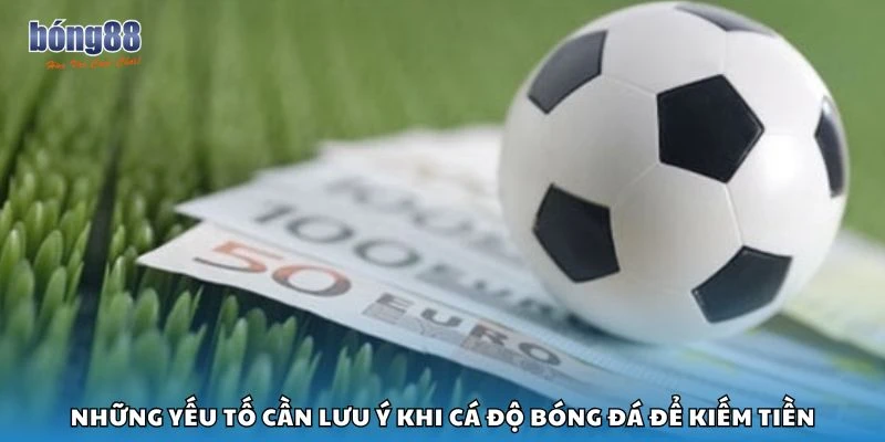 Những yếu tố cần lưu ý khi cá độ bóng đá để kiếm tiền