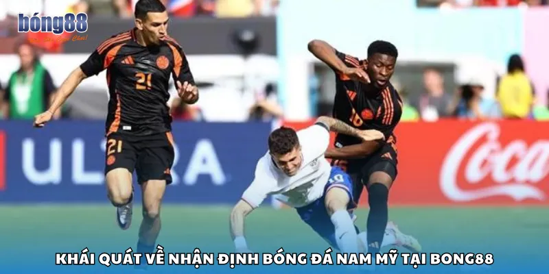 Khái quát về nhận định bóng đá Nam Mỹ tại Bong88