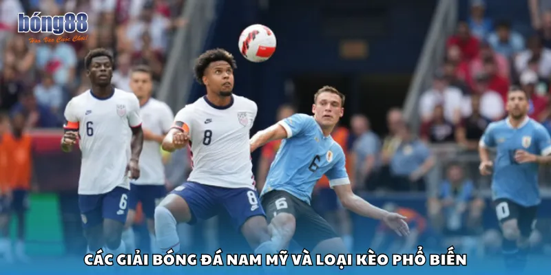Các giải bóng đá Nam Mỹ và loại kèo phổ biến