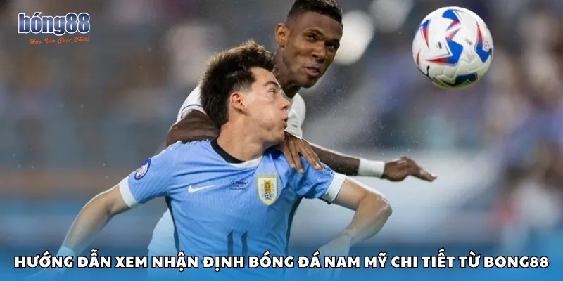 Hướng dẫn xem nhận định bóng đá Nam Mỹ chi tiết từ Bong88