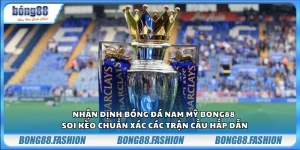 Nhận định bóng đá Nam Mỹ Bong88 – Soi kèo chuẩn xác các trận cầu hấp dẫn