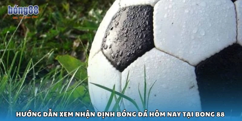 Hướng dẫn xem nhận định bóng đá hôm nay tại Bong 88