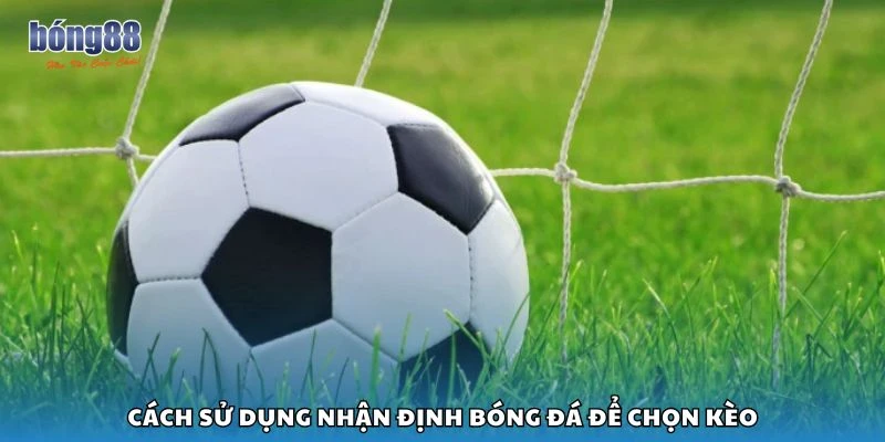 Cách sử dụng nhận định bóng đá để chọn kèo