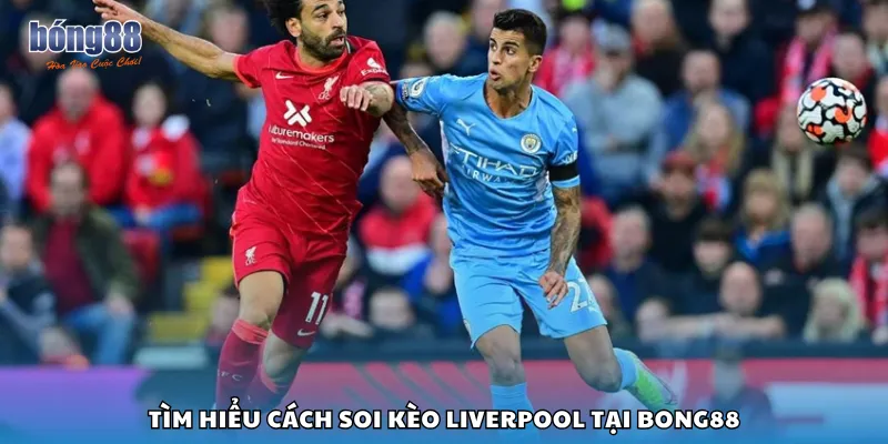 Tìm hiểu cách soi kèo Liverpool tại Bong88
