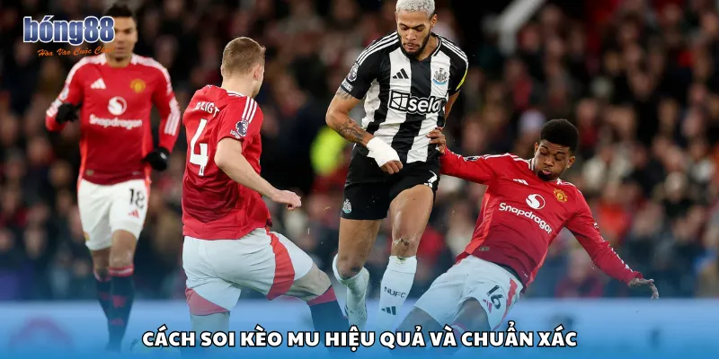 Cách soi kèo MU hiệu quả và chuẩn xác