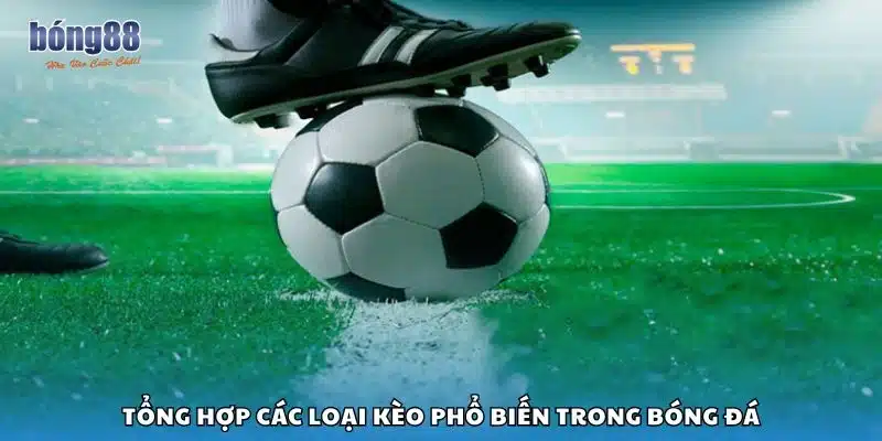 Tổng hợp các loại kèo phổ biến trong bóng đá