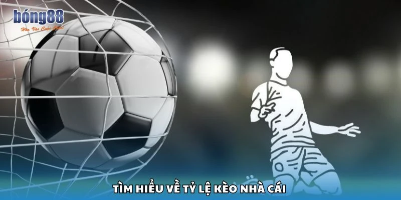 Tìm hiểu về tỷ lệ kèo nhà cái