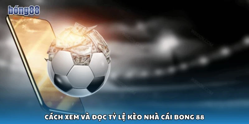 Cách xem và đọc tỷ lệ kèo nhà cái Bong 88