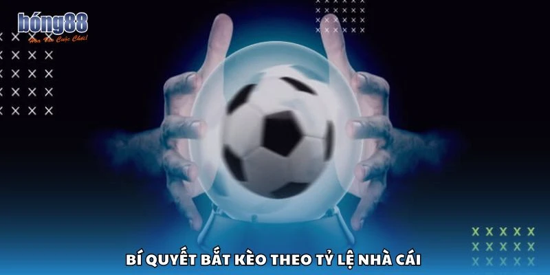 Bí quyết bắt kèo theo tỷ lệ nhà cái